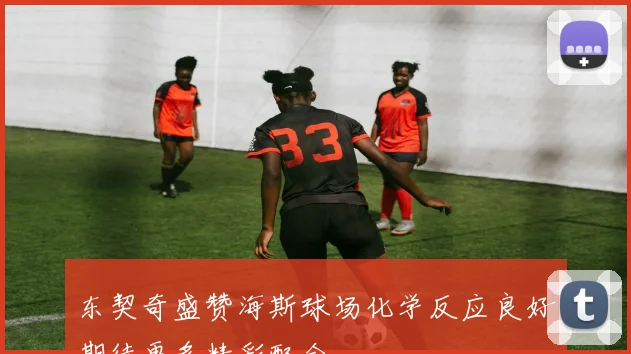 东契奇盛赞海斯球场化学反应良好期待更多精彩配合