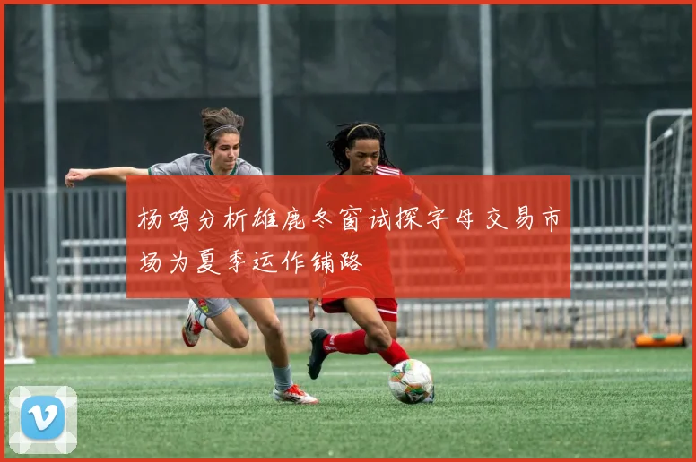 杨鸣分析雄鹿冬窗试探字母交易市场为夏季运作铺路