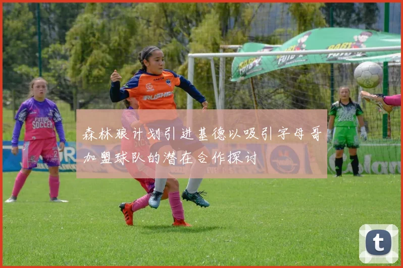 森林狼计划引进基德以吸引字母哥加盟球队的潜在合作探讨
