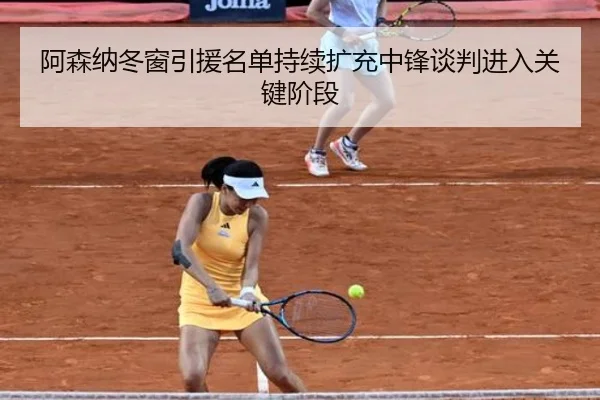 阿森纳冬窗引援名单持续扩充中锋谈判进入关键阶段 - 28quan